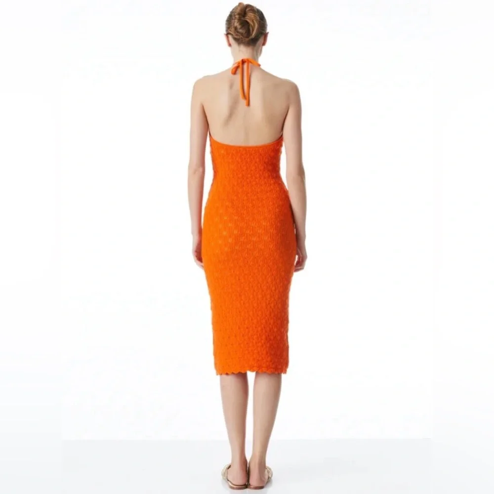 Alice + Olivia Jone Halter Neck Fitted Midi Dress in Sienna Size S - Picture 8 of 8